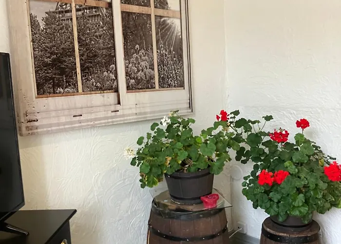 شقة Vanha Kanttorila, , A 2-kerroksinen لوفيزا